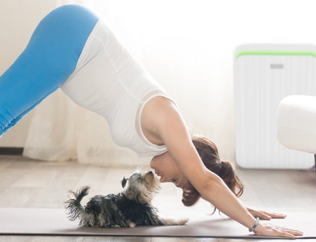 Best Air Purifier for Pets