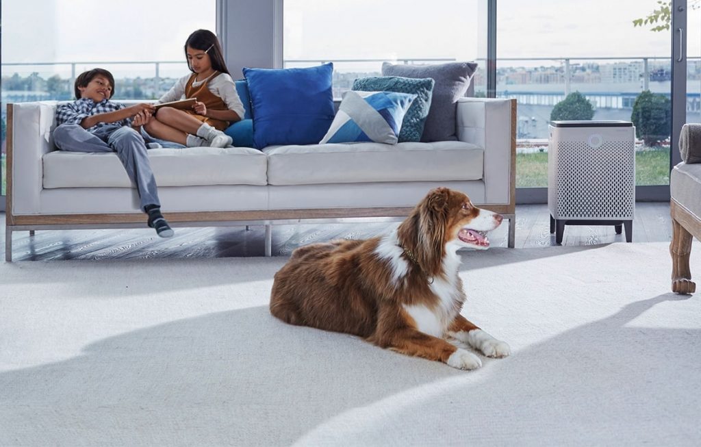 10 Best Air Purifiers for Pet Owners — No More Hair and Dander! (Spring 2023)