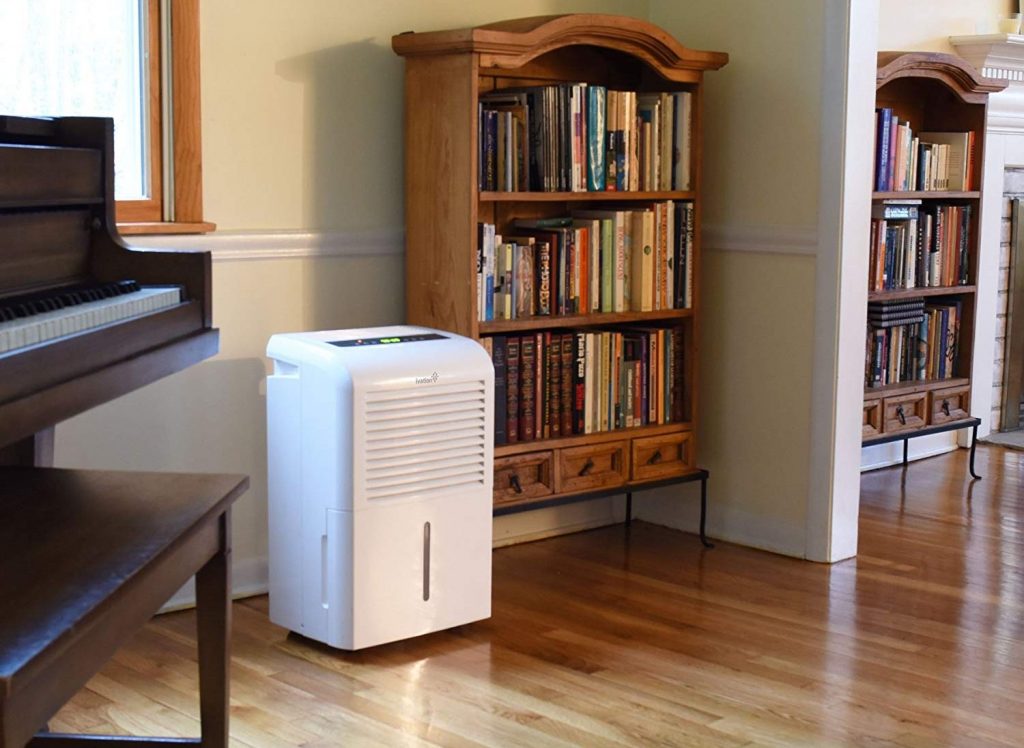 6 Best Whole House Dehumidifiers to Make Your Home a Healthier Place to Live (Winter 2023)