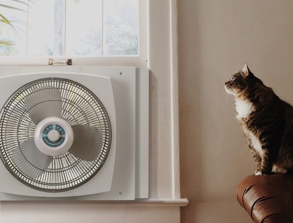 5 Best Window Fans to Fill Your Home with the Desired Coolness (Winter 2023)