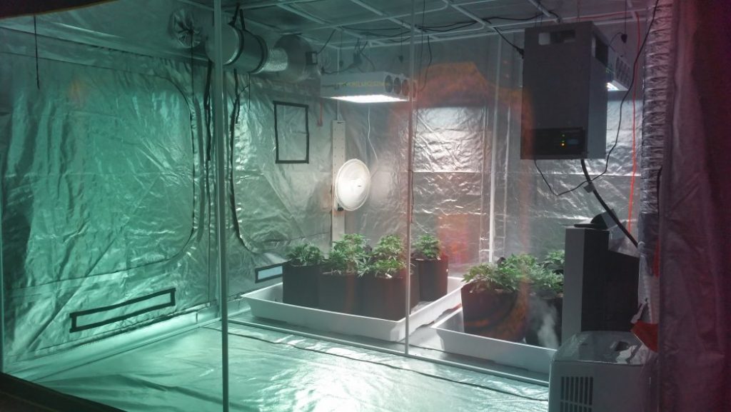 10 Best Dehumidifiers for Grow Tent - The Best for Your Plants! (Winter 2023)