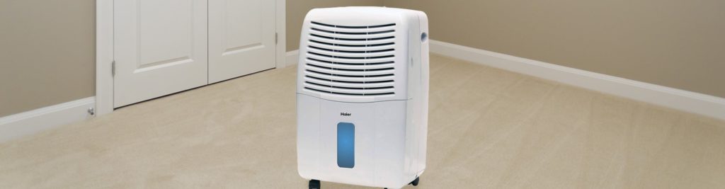 5 Best Haier Dehumidifiers to Provide Your Home with That Ideal Air Quality You Need (Winter 2023)