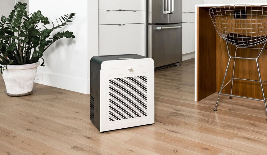 7 Best Air Purifiers for Mold and Mildew Removal All Around Your House (Winter 2023)