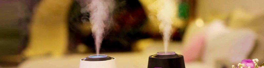 Humidifier Vs Diffuser: What's the Difference and Which One to Choose?