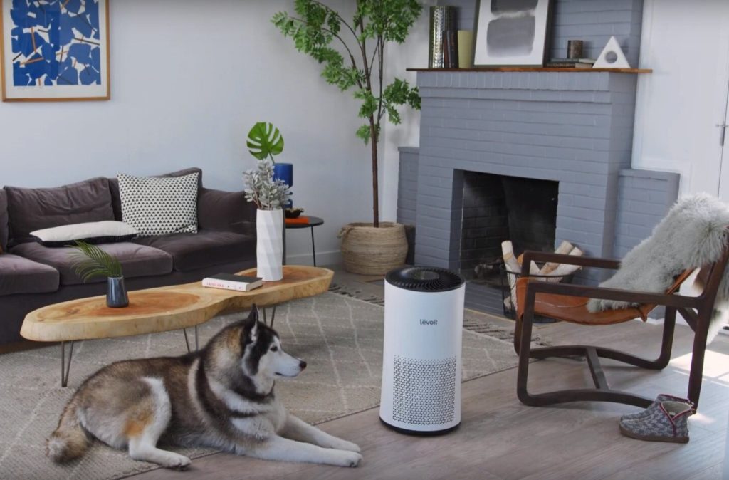 6 Best Air Purifiers for Allergies — Reviews and Buying Guide (Winter 2023)