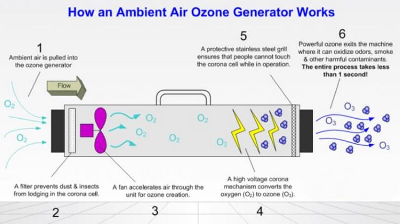 Air Ionizer vs Air Purifier - Which is Best for You?