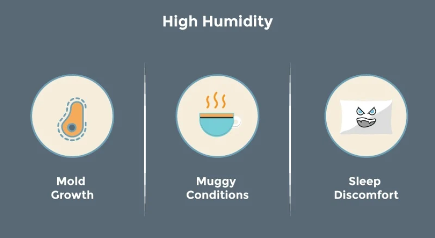 What Should the Humidity Be in a House?