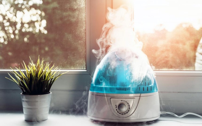 Types of Humidifiers: Learn How They Are Different and Which Is Best for You