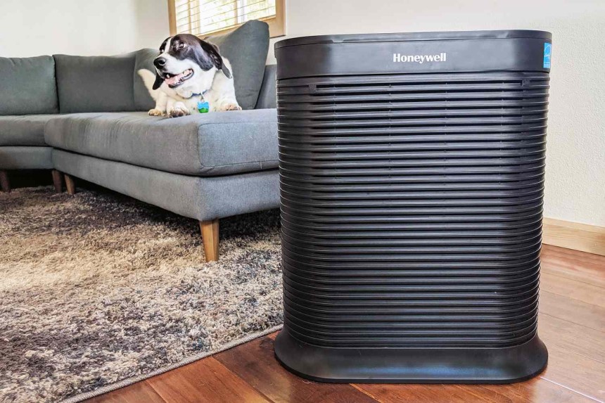 Winix vs. Honeywell: Which Air Purifier to Choose? (Spring 2023)