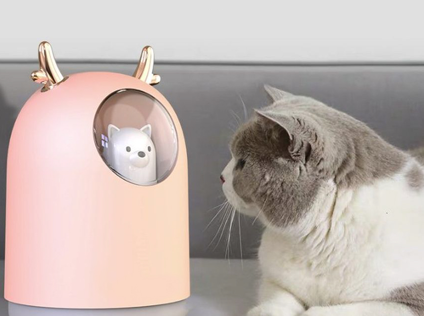 Are Humidifiers Safe for Cats? - Health Benefits and Safety Tips