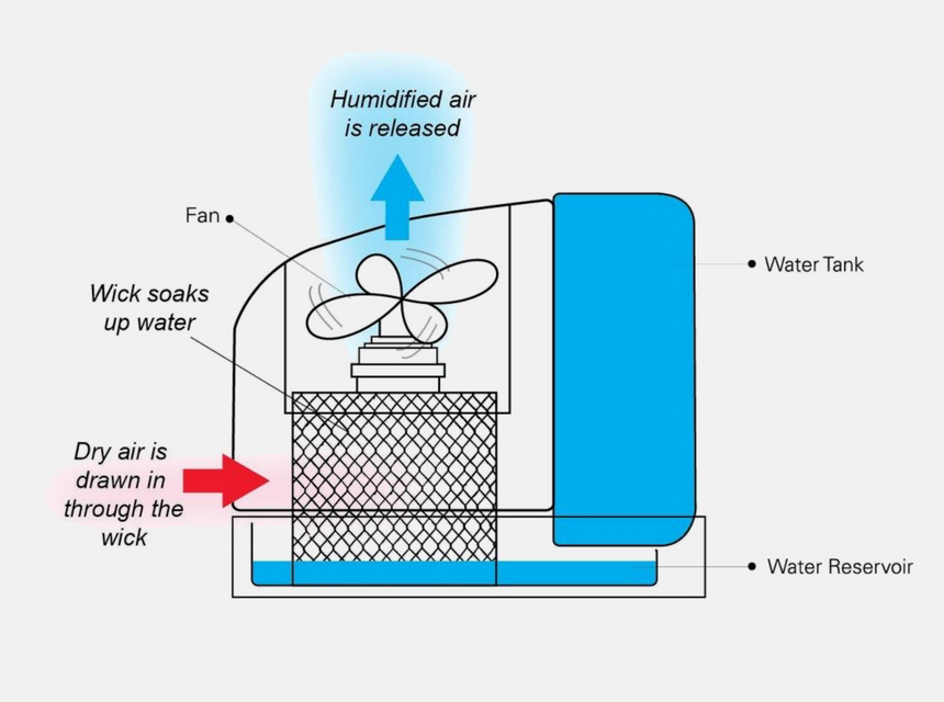 Do I Need a Humidifier? Everything about Humidity and the Signs You Really Need One